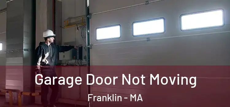  Garage Door Not Moving Franklin - MA