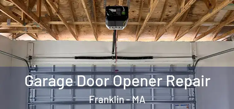  Garage Door Opener Repair Franklin - MA