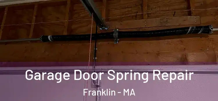  Garage Door Spring Repair Franklin - MA