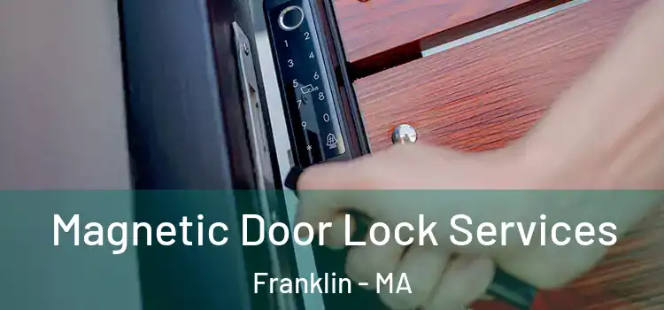 Magnetic Door Lock Services Franklin - MA