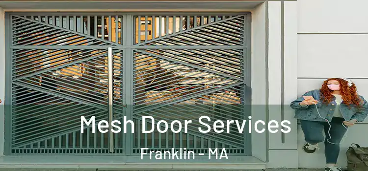 Mesh Door Services Franklin - MA